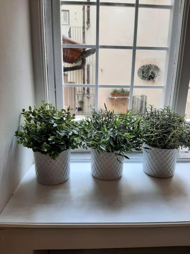 דירות רומא Charming Loft In Piazza Di Spagna מראה חיצוני תמונה