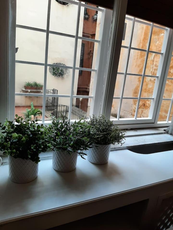 דירות רומא Charming Loft In Piazza Di Spagna מראה חיצוני תמונה